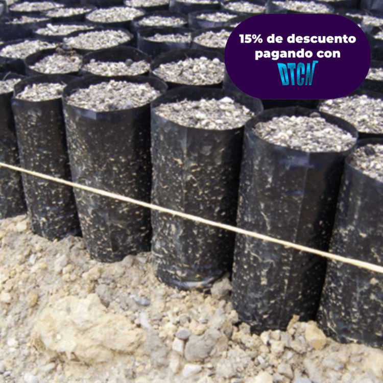 BOLSA 11CMX23 CM X100 UNIDADES CON FUELLE CAL 1.5