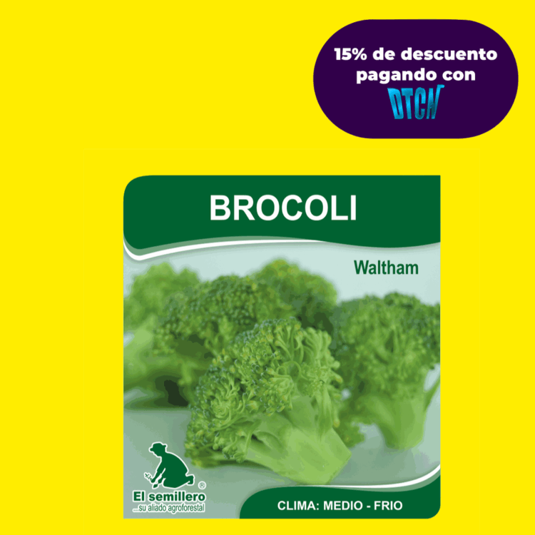 BROCOLI WALTHAM (SEMILLA)