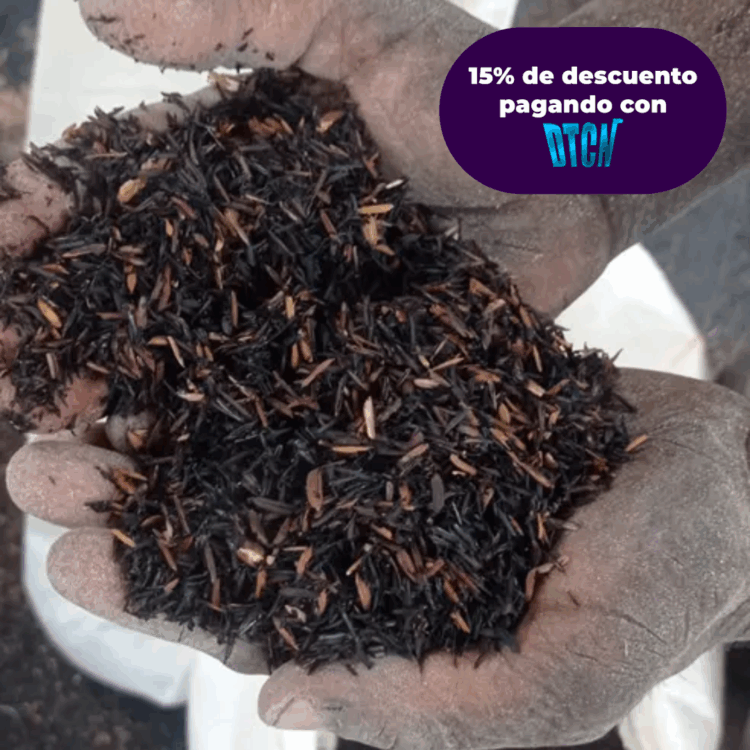 CASCARILLA DE ARROZ QUEMADA X BULTO Kg.