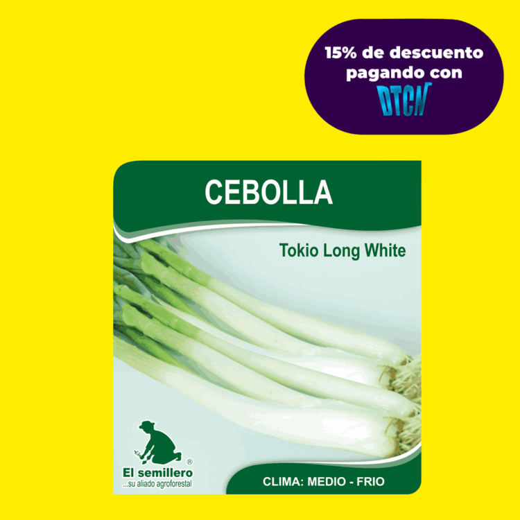 CEBOLLA RAMA TOKIO LONG WHITE (SEMILLA)