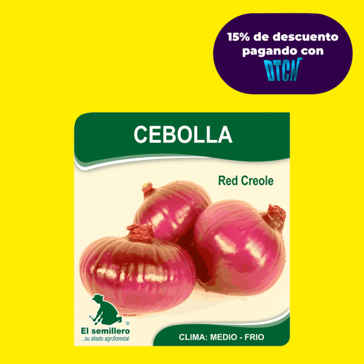 CEBOLLA RED CREOLE (SEMILLA)