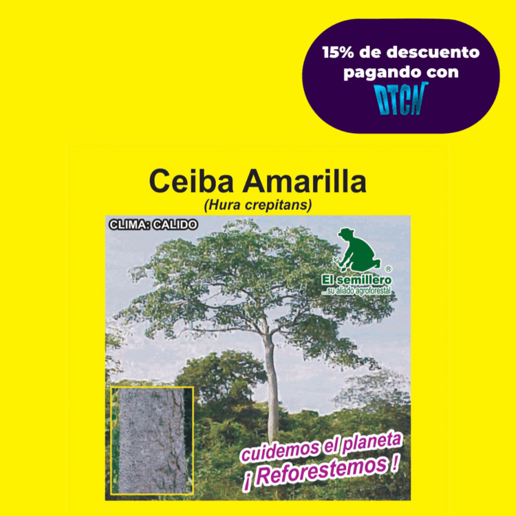 CEIBA AMARILLA (SEMILLA)