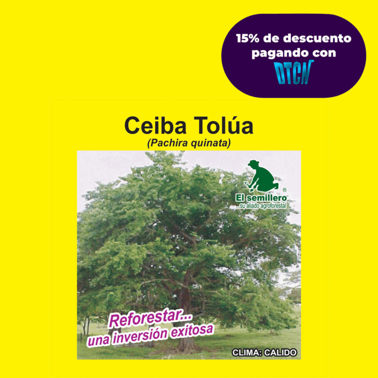 CEIBA TOLÚA F.I. NACIONAL (SEMILLA)
