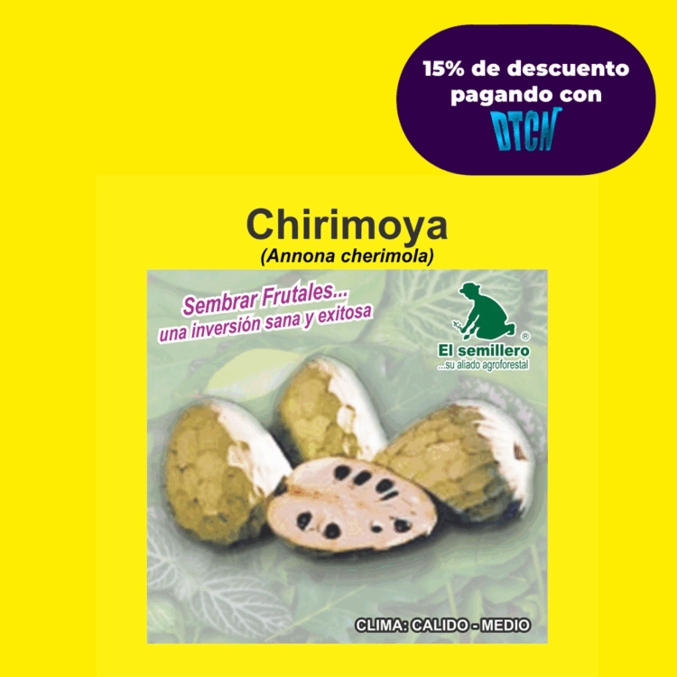 CHIRIMOYA (SEMILLA)