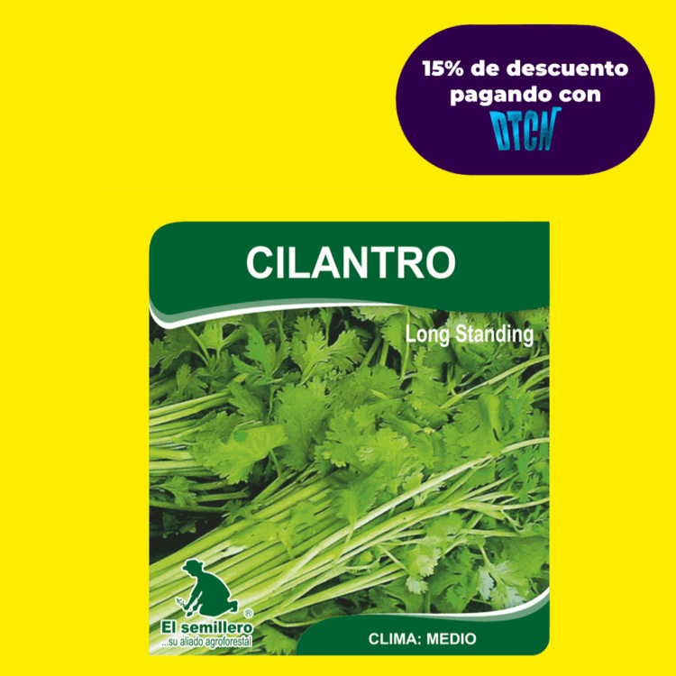 CILANTRO LONG STANDING (SEMILLA)