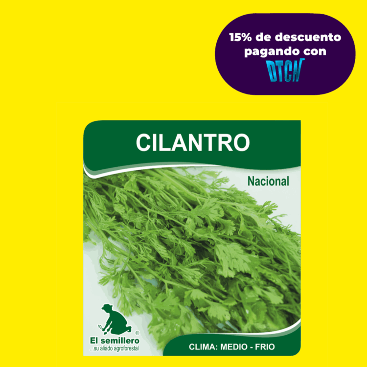 CILANTRO PATIMORADO (SEMILLA)