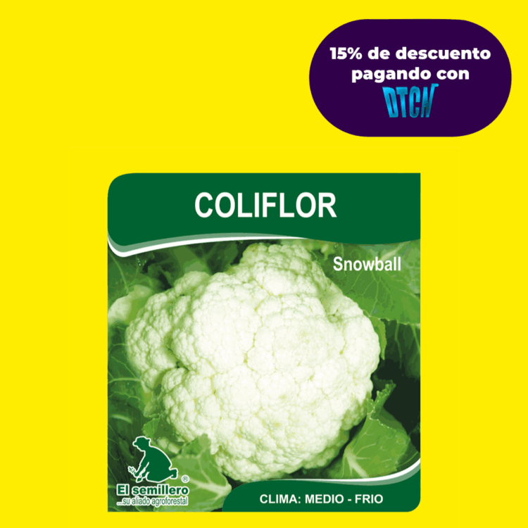 COLIFLOR SNOWBALL (SEMILLA)