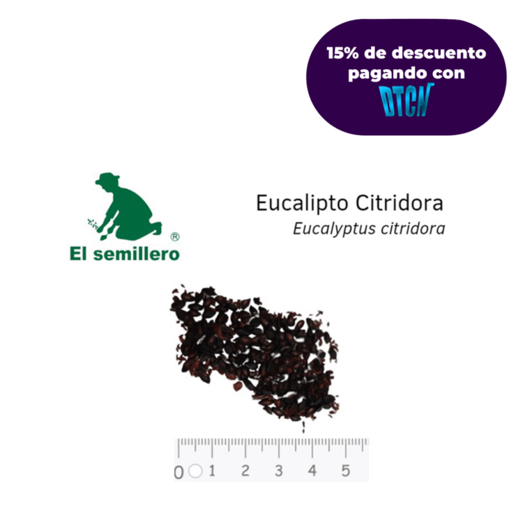 EUCALIPTO CITRIDORA (SEMILLA)