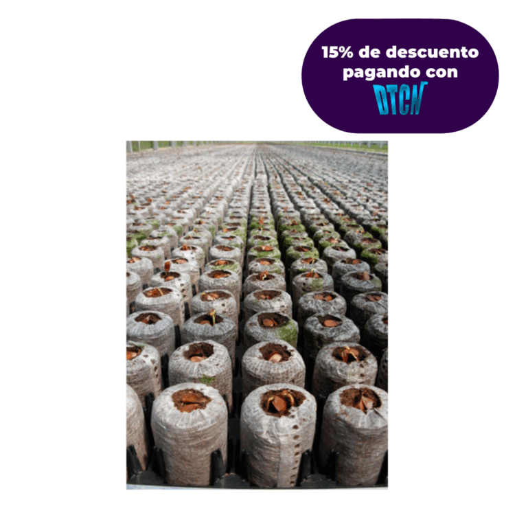 JIFFYS PELLET 36x100 mm caja x 768 unidades