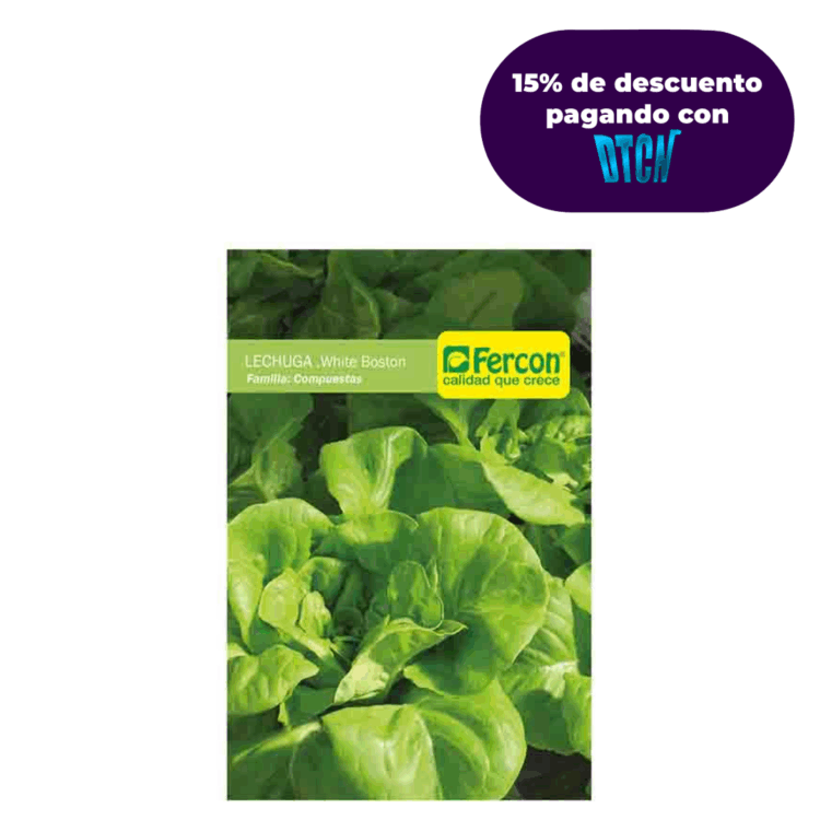 LECHUGA WHITE BOSTON (SEMILLA)