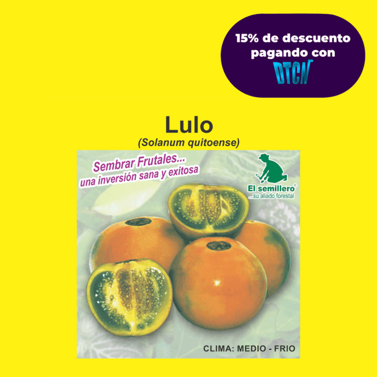 LULO (SEMILLA)