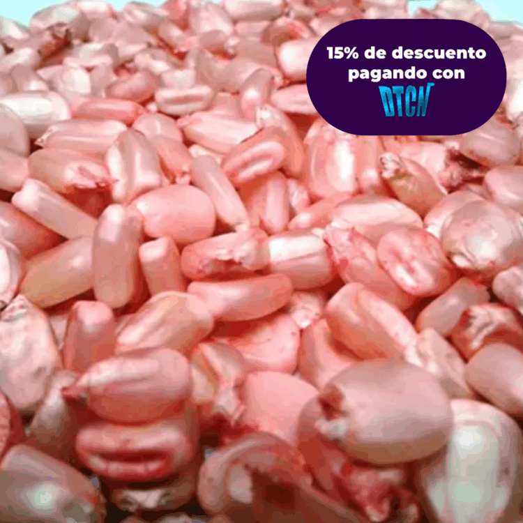 MAIZ ICA V-156 x KG (SEMILLA)