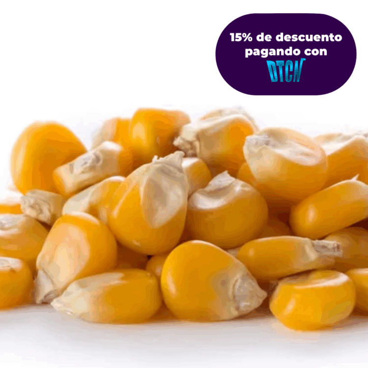 MAIZ MEDELLIN KG (SEMILLA)