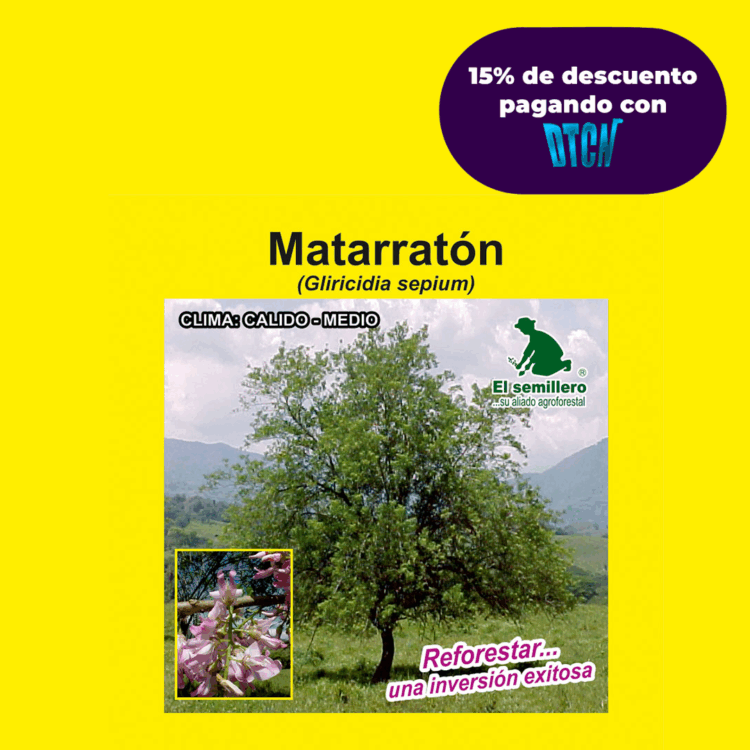 MATARRATÓN (SEMILLA)