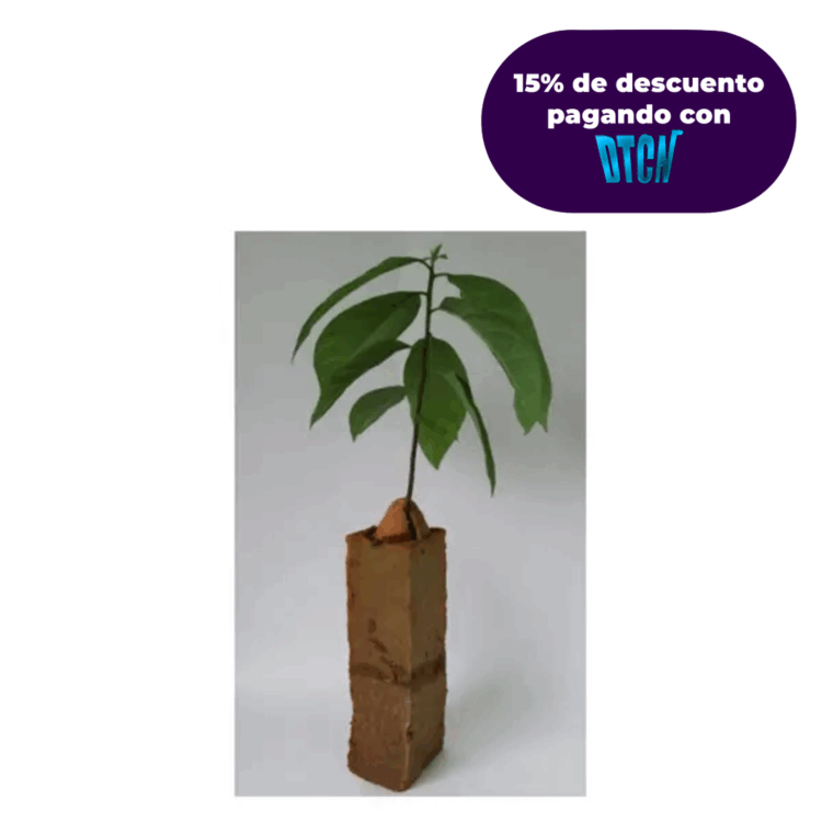 MEDIO DE PROPAG VEGETAL ULTRA 6.5*6.5*24,5 X Caja