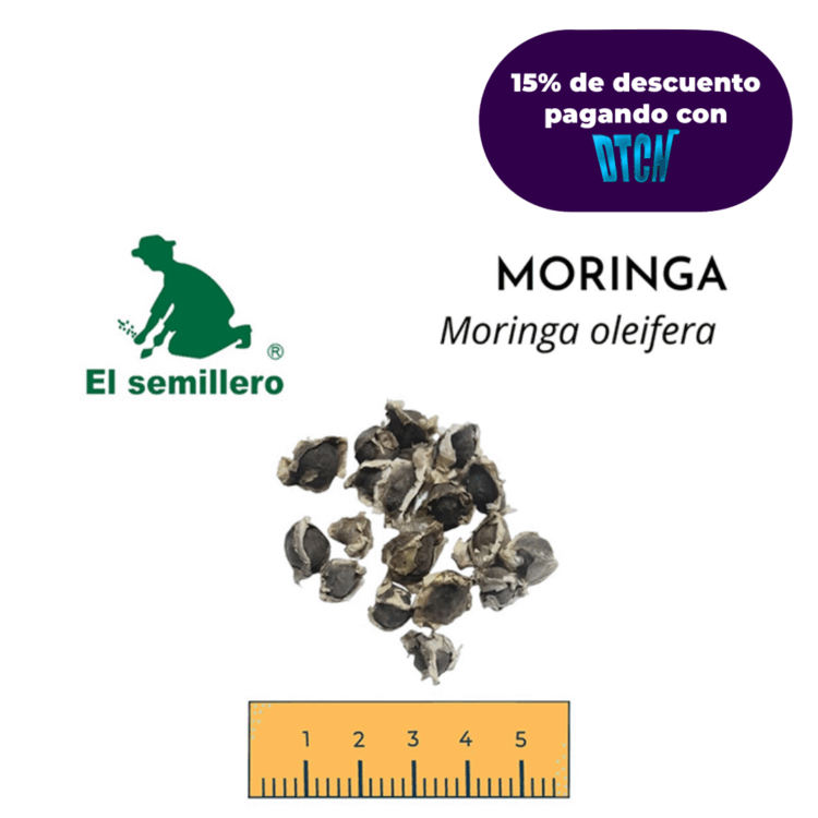 MORINGA (SEMILLA)