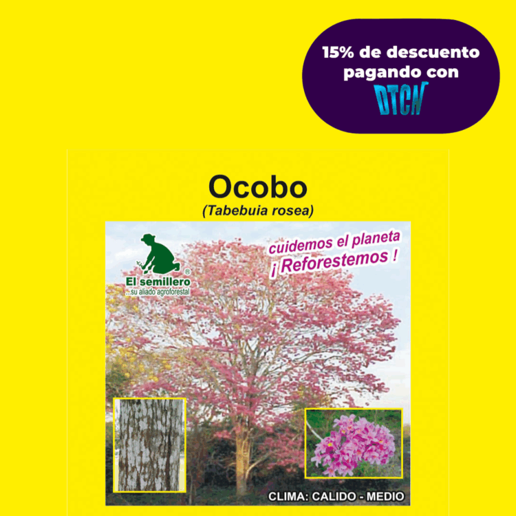 OCOBO/FLORMORADO (SEMILLA)