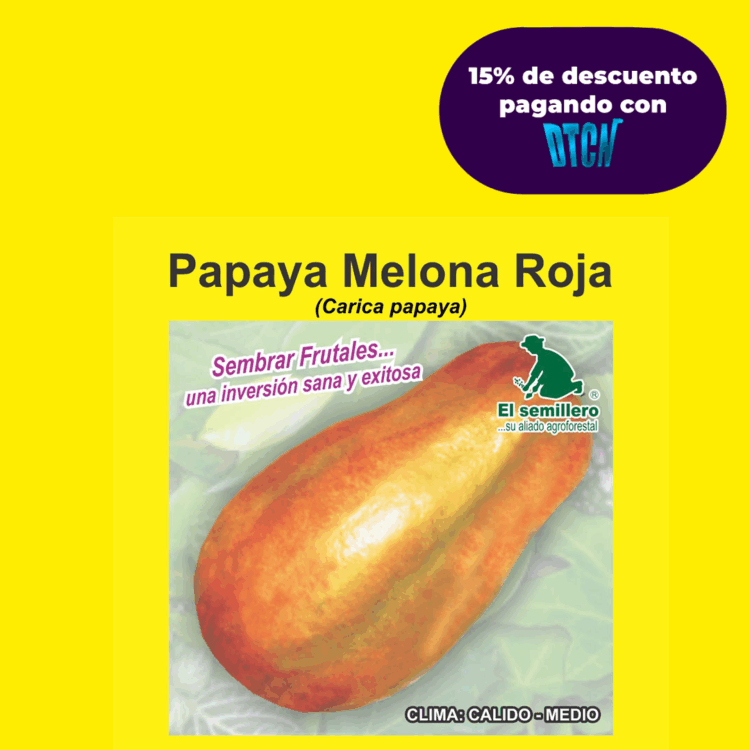 PAPAYA MELONA ROJA (SEMILLA)