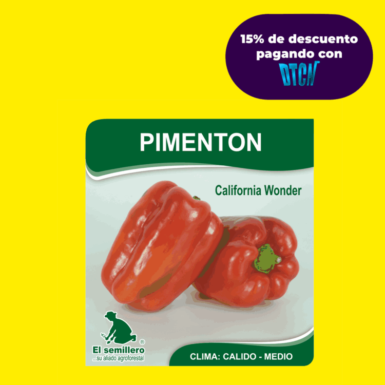 PIMENTON CALIFORNIA WONDER (SEMILLA)