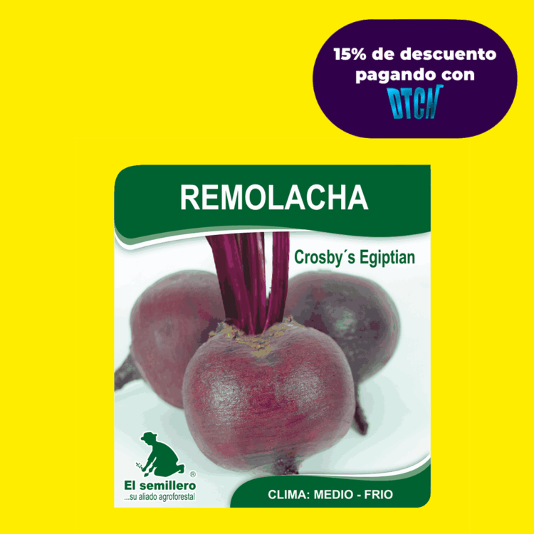 REMOLACHA CROSBY EGIP (SEMILLA)