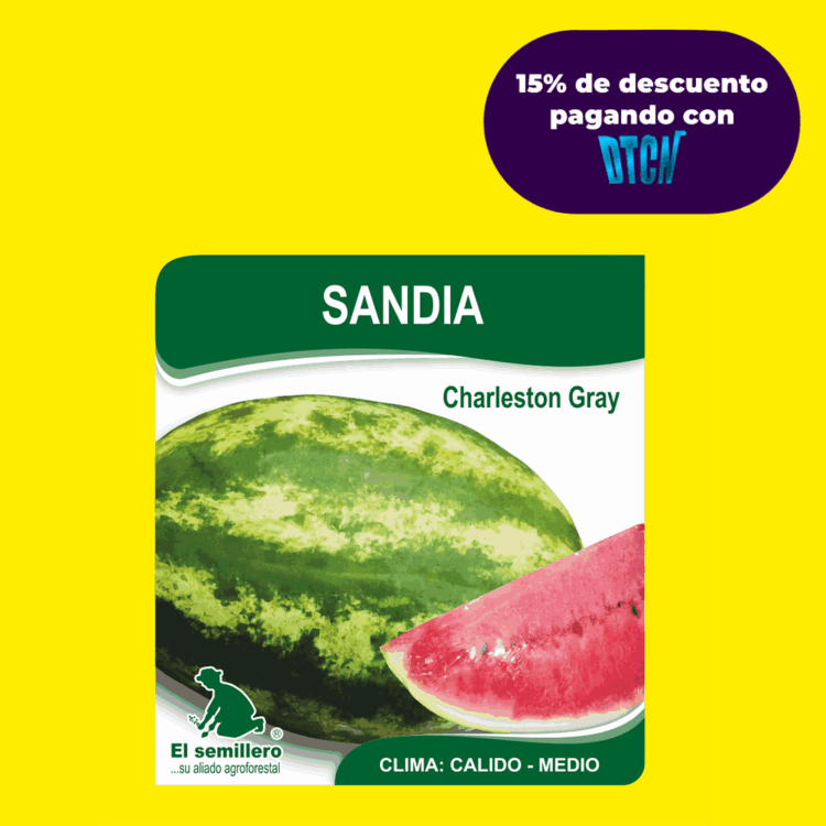 SANDIA CHARLESTON GRAY (SEMILLA)