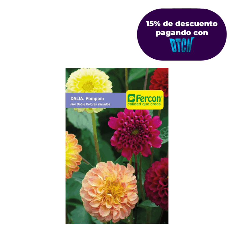 Semillas De Dalia Pompom Doble Variada X 0.5 GR