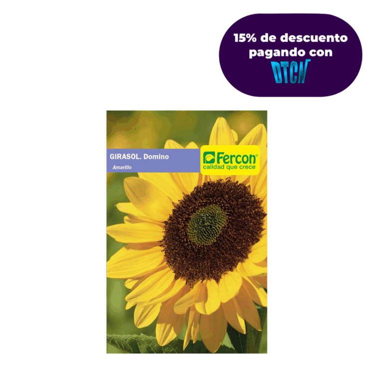 Semillas De Girasol Domino