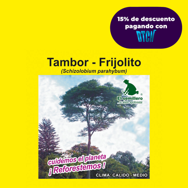 TAMBOR - FRIJOLITO (SEMILLA)