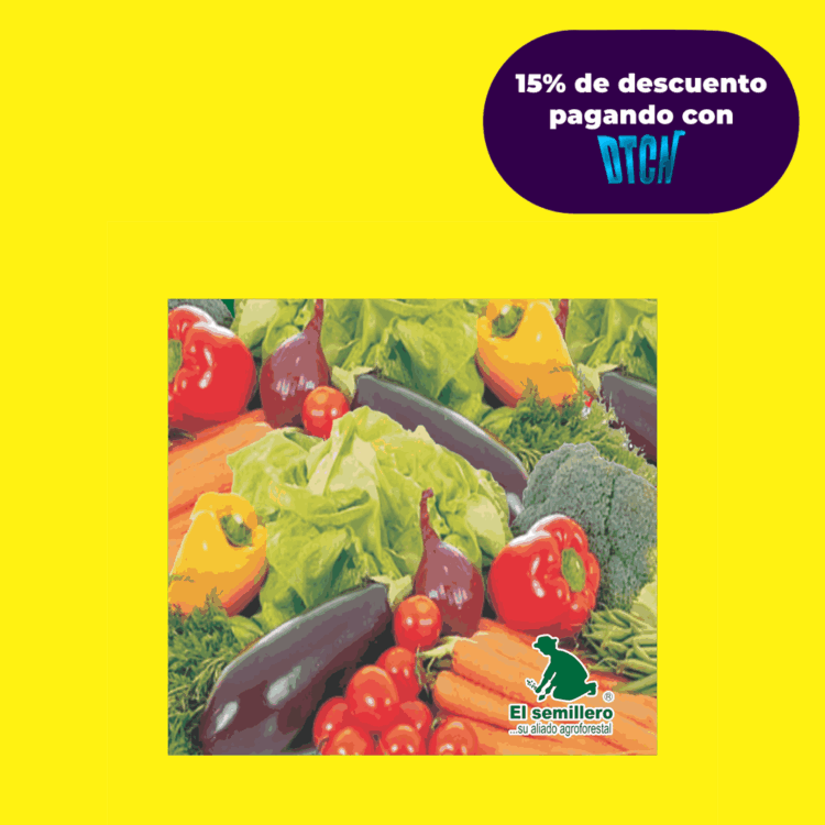 CALABACIN COCOZELLE (SEMILLA)