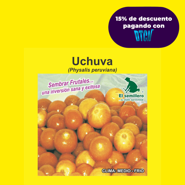 UCHUVA (SEMILLA)