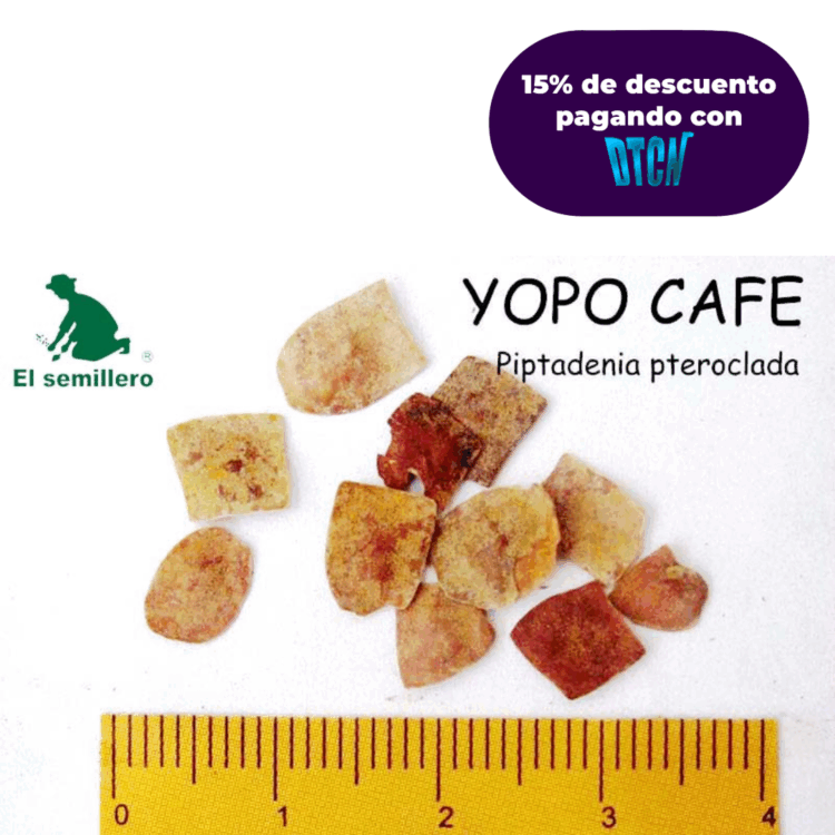 YOPO CAFÉ (SEMILLA)