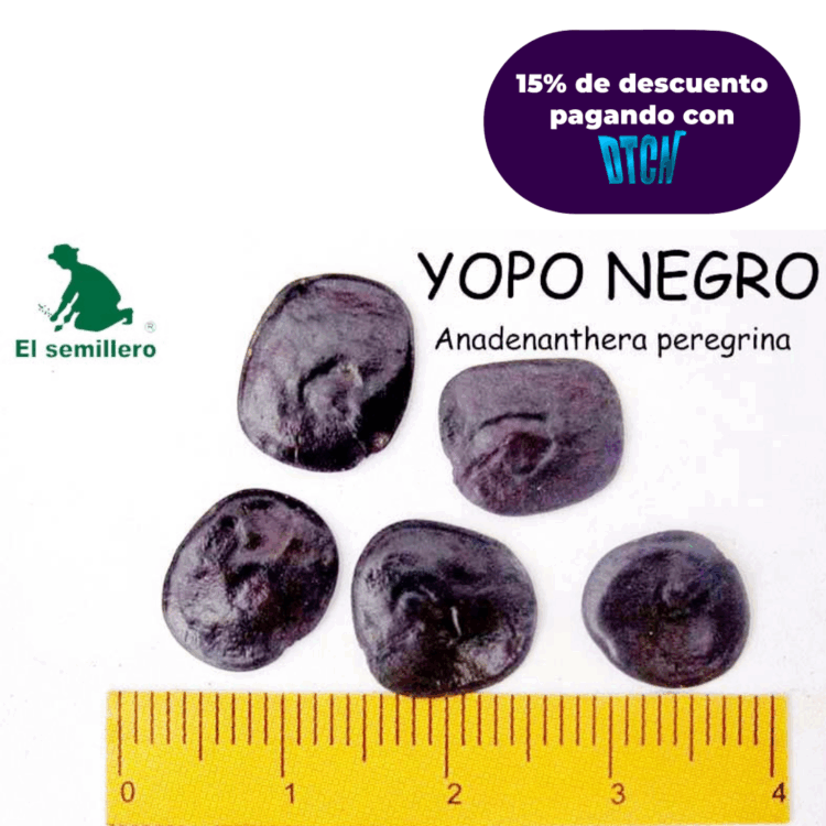 YOPO NEGRO (SEMILLA)