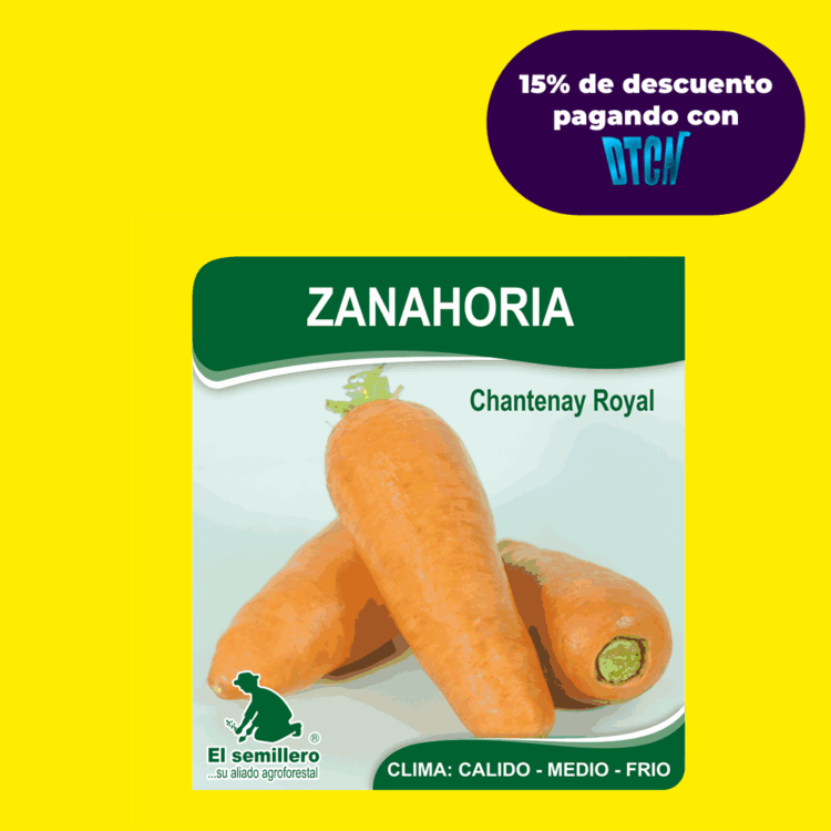 ZANAHORIA CHANTENAY ROYAL (SEMILLA)