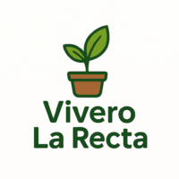 Vivero la recta